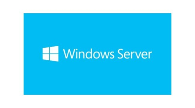 Microsoft Windows Server Standard 2019 P73-07788 Inglés 64 bit 16 Core DVD DSP